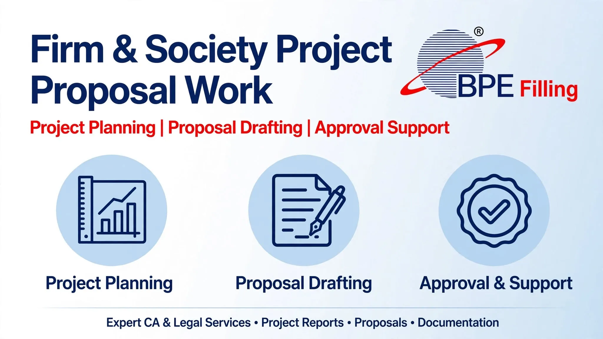 Firm and Society Project & Proposal Work